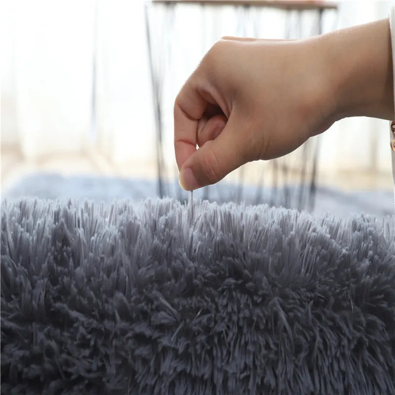 Modern Sofas Grey Fluffy Carpet