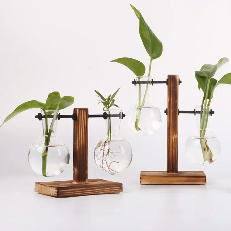 Transparent Bulb Vase with Wooden Stand