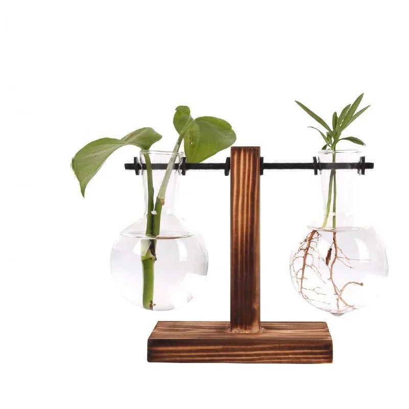 Transparent Bulb Vase with Wooden Stand