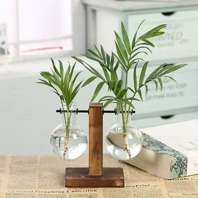 Transparent Bulb Vase with Wooden Stand