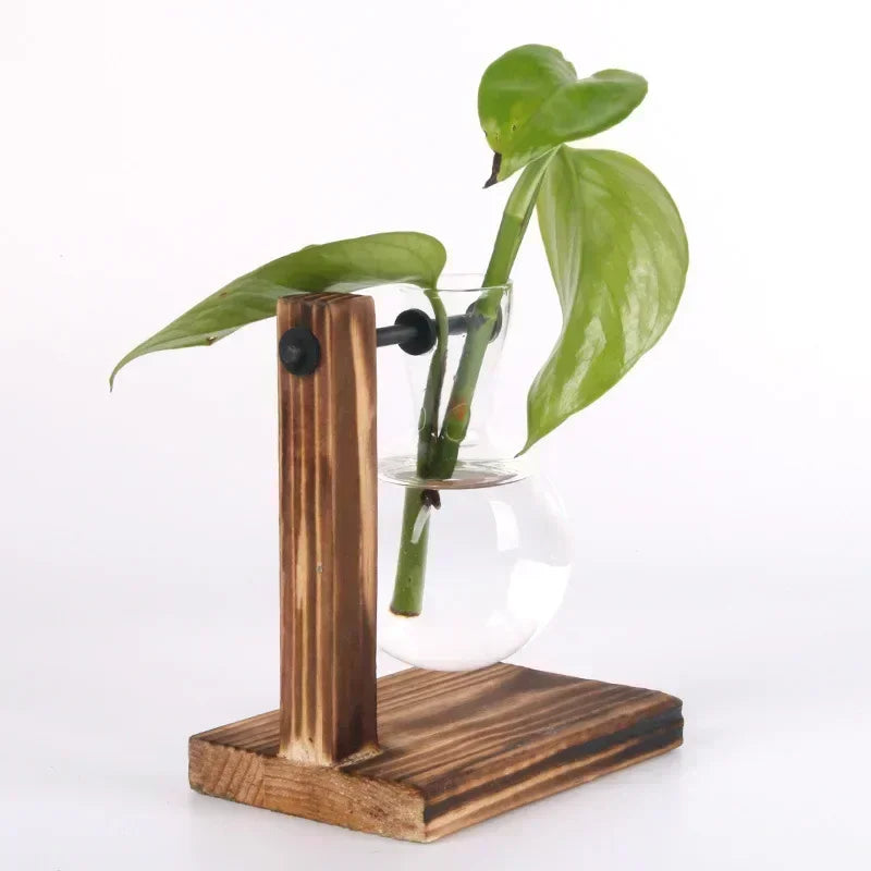 Transparent Bulb Vase with Wooden Stand