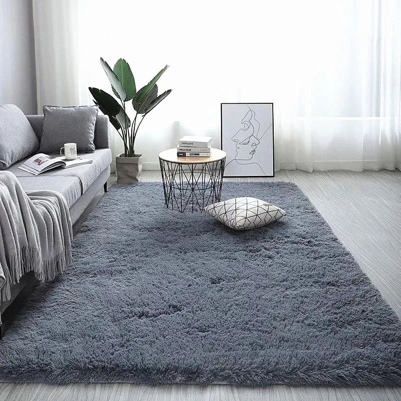 Modern Sofas Grey Fluffy Carpet