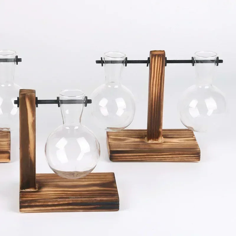 Transparent Bulb Vase with Wooden Stand