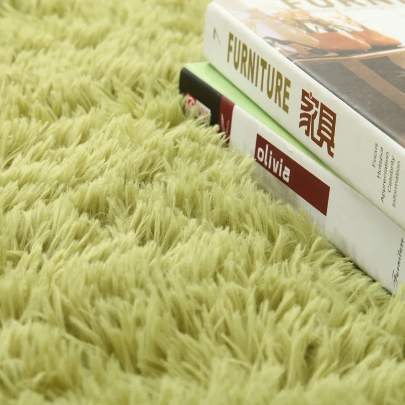 Modern Sofas Grey Fluffy Carpet