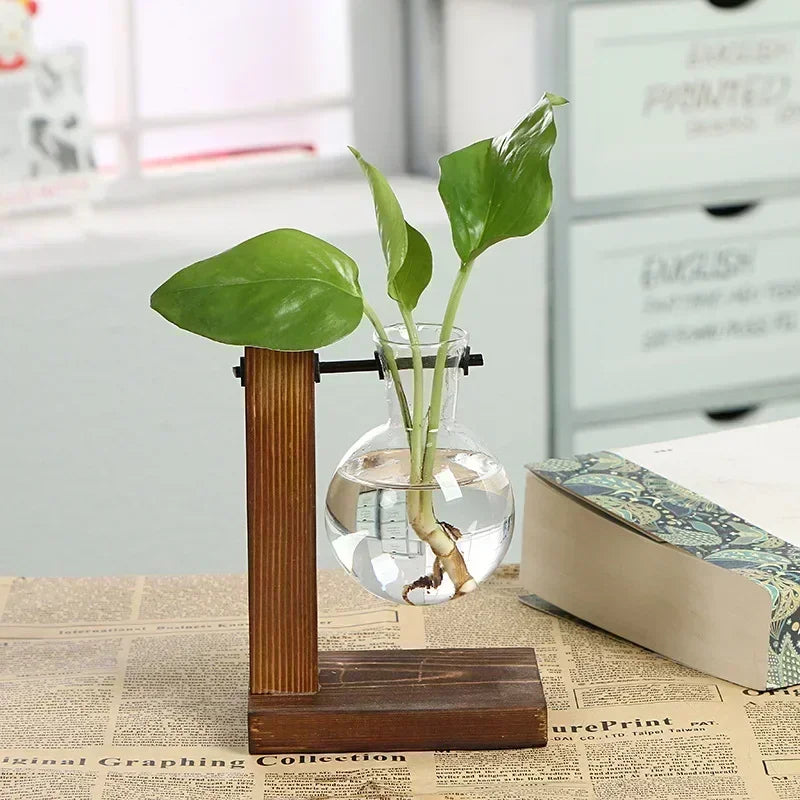 Transparent Bulb Vase with Wooden Stand