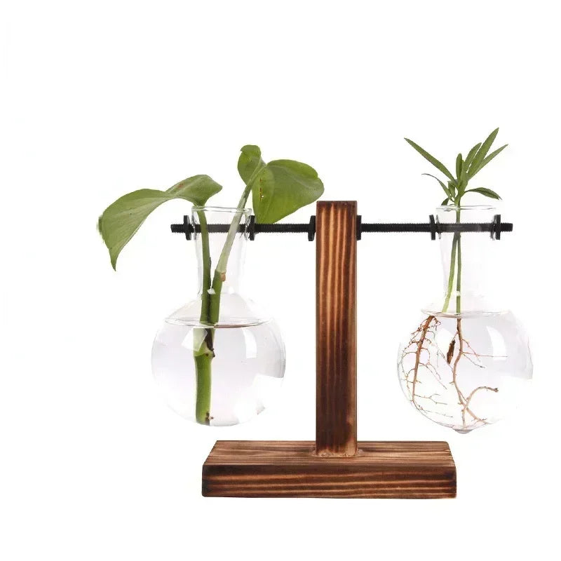 Transparent Bulb Vase with Wooden Stand