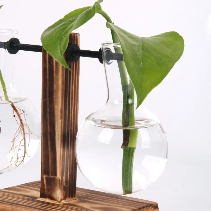 Transparent Bulb Vase with Wooden Stand