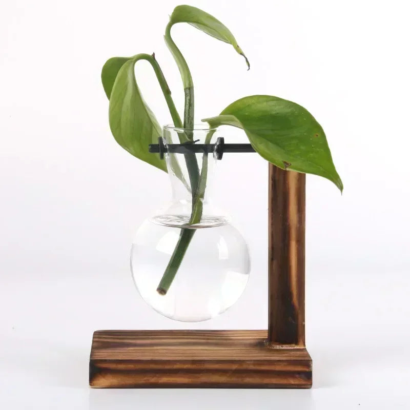 Transparent Bulb Vase with Wooden Stand