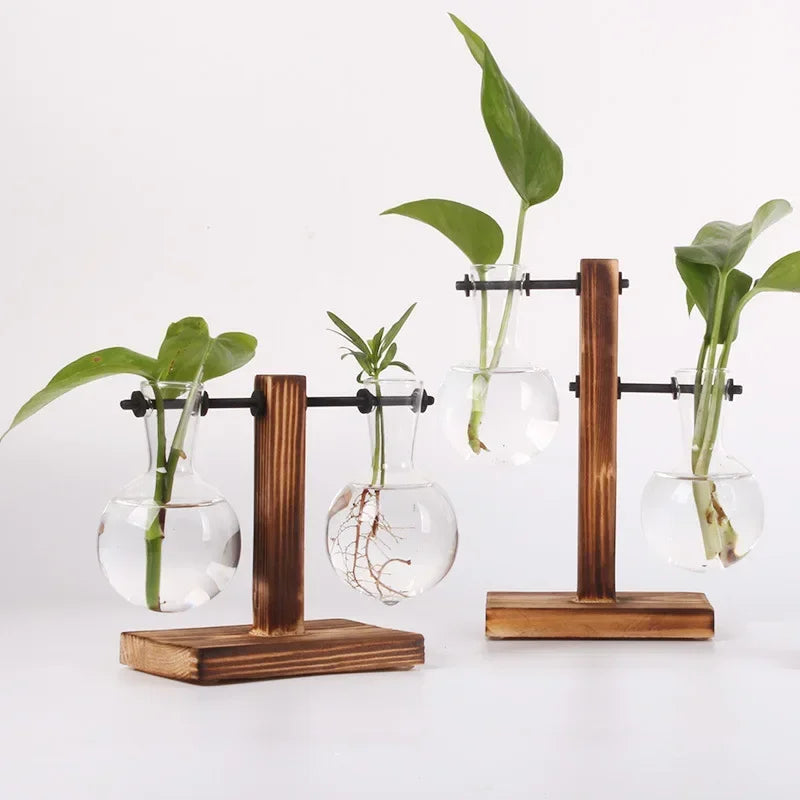 Transparent Bulb Vase with Wooden Stand