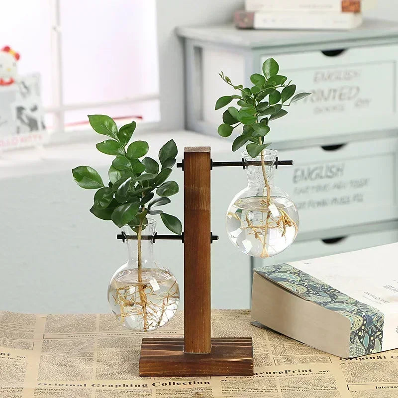 Transparent Bulb Vase with Wooden Stand